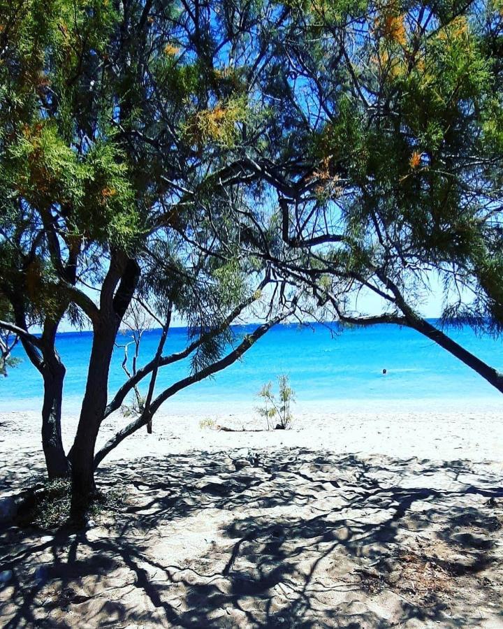 Glyfa Village Δρυός Εξωτερικό φωτογραφία