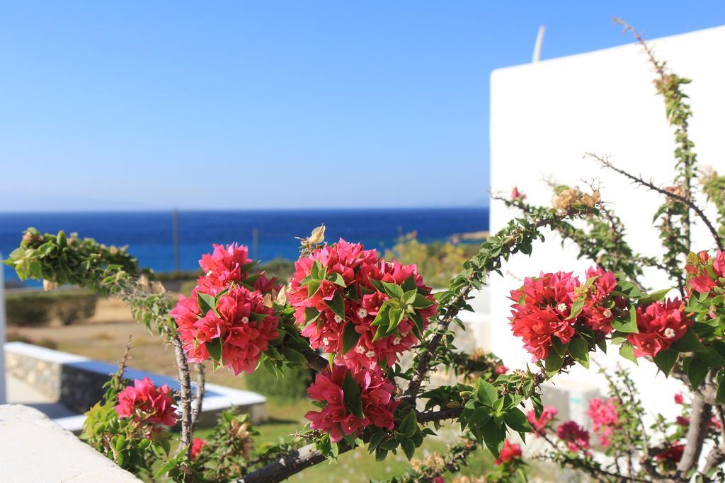 Glyfa Village Δρυός Εξωτερικό φωτογραφία