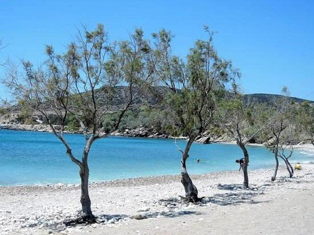 Glyfa Village Δρυός Εξωτερικό φωτογραφία