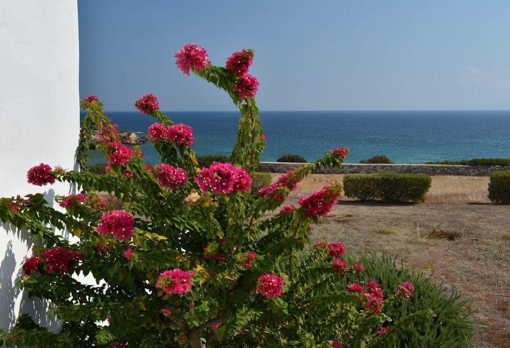 Glyfa Village Δρυός Εξωτερικό φωτογραφία