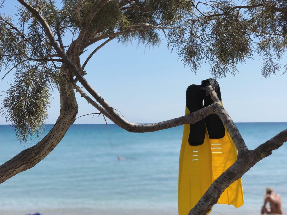 Glyfa Village Δρυός Εξωτερικό φωτογραφία
